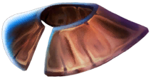 Worn Light Shoulders