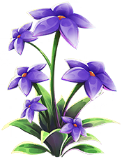 Black Thyme