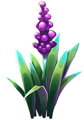 Stenchflower