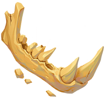 Small Skeleton Bone