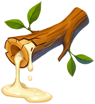 Milky Sap