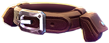 Exclusive Heavy Belt