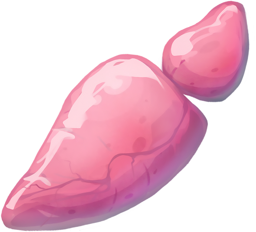 Pink Bladder
