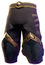ArmorPantsRangerT2Onyx