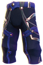 ArmorPantsMageT2Chaos