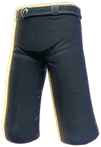 ArmorPantsKnightT1Timber