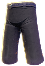 ArmorPantsKnightT1Aegis